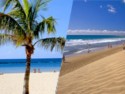 Tenerife/Gran Canaria